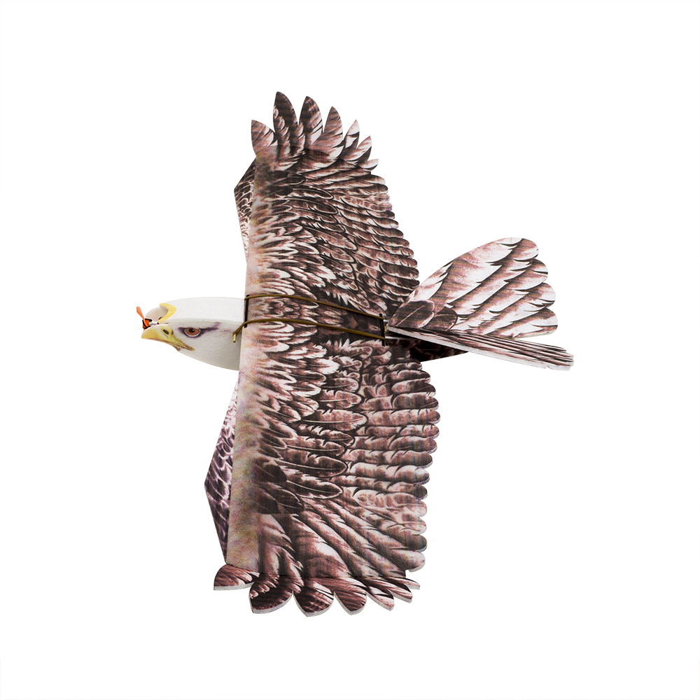 Rc Hobby Online - DW Hobby Eagle II EPP avión